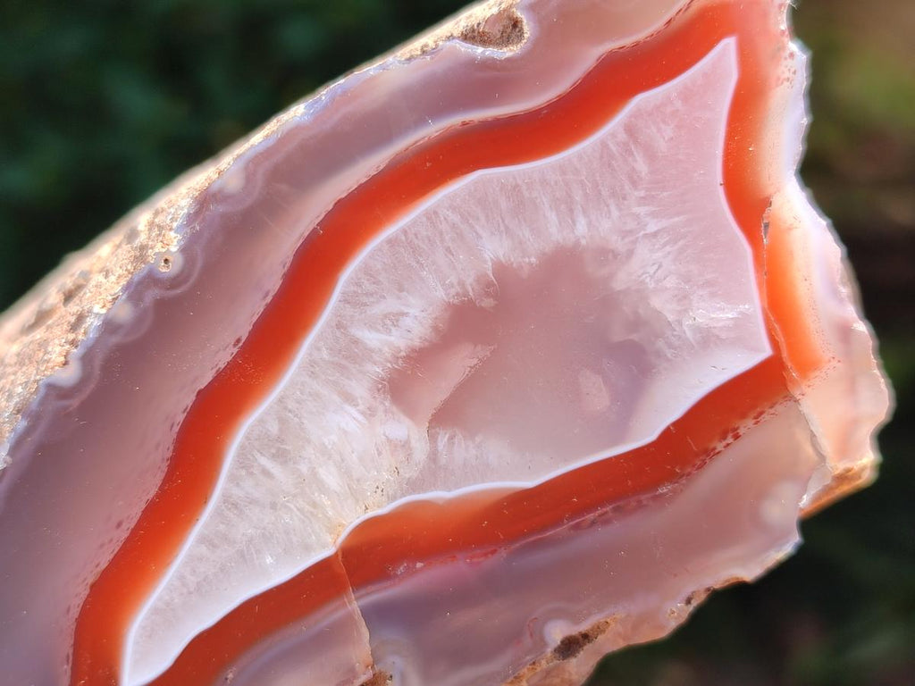 Polished One Side Red Shashe River Agate Nodules x 2 From Shashe River, Zimbabwe