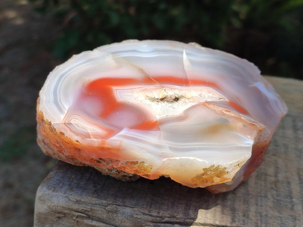 Polished One Side Red Shashe River Agate Nodules x 2 From Shashe River, Zimbabwe