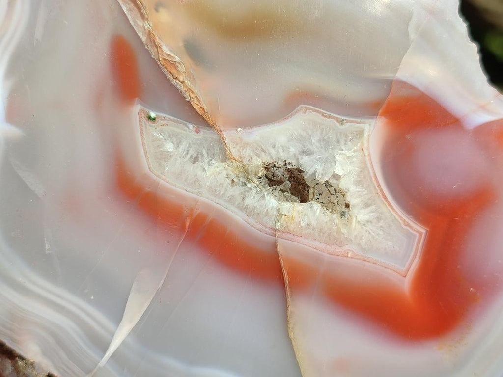 Polished One Side Red Shashe River Agate Nodules x 2 From Shashe River, Zimbabwe
