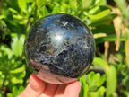 Polished Blue Iolite "Water Sapphire" Spheres x 3 From Madagascar