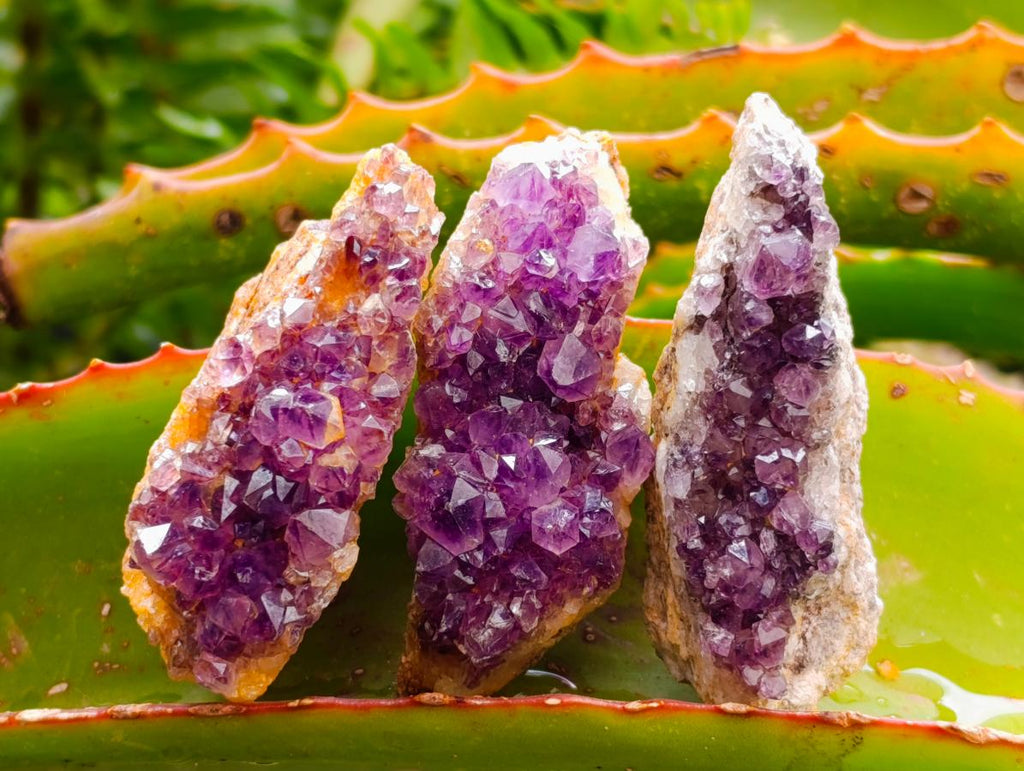 Natural Dark Purple Amethyst Quartz Crystal Plates x 35 From Boekenhouthoek, South Africa