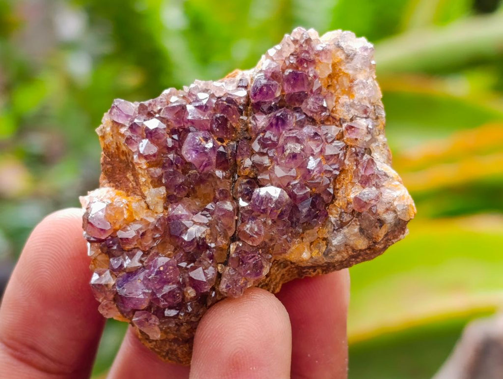 Natural Dark Purple Amethyst Quartz Crystal Plates x 35 From Boekenhouthoek, South Africa