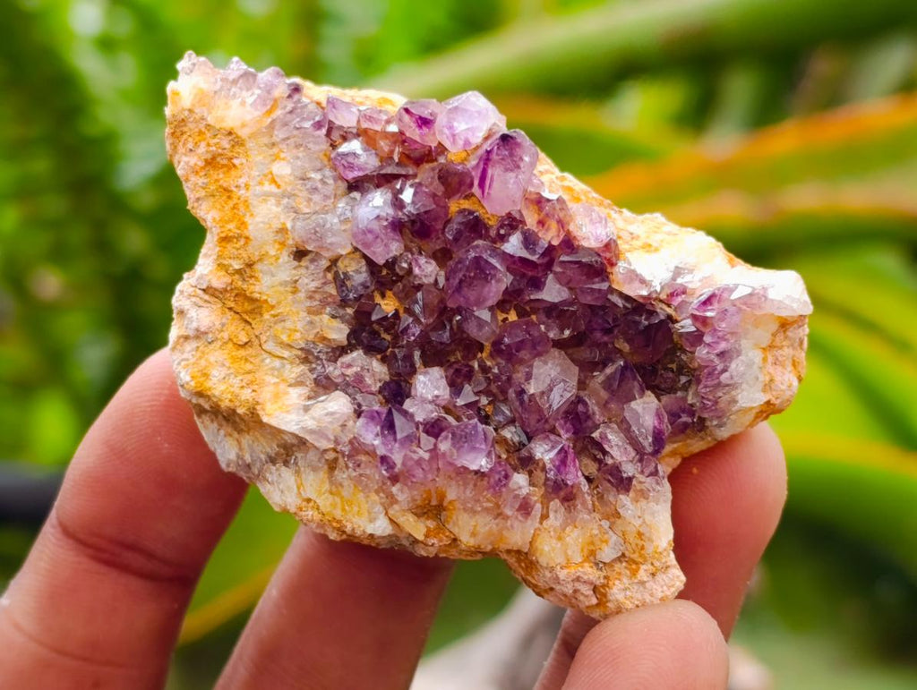 Natural Dark Purple Amethyst Quartz Crystal Plates x 35 From Boekenhouthoek, South Africa