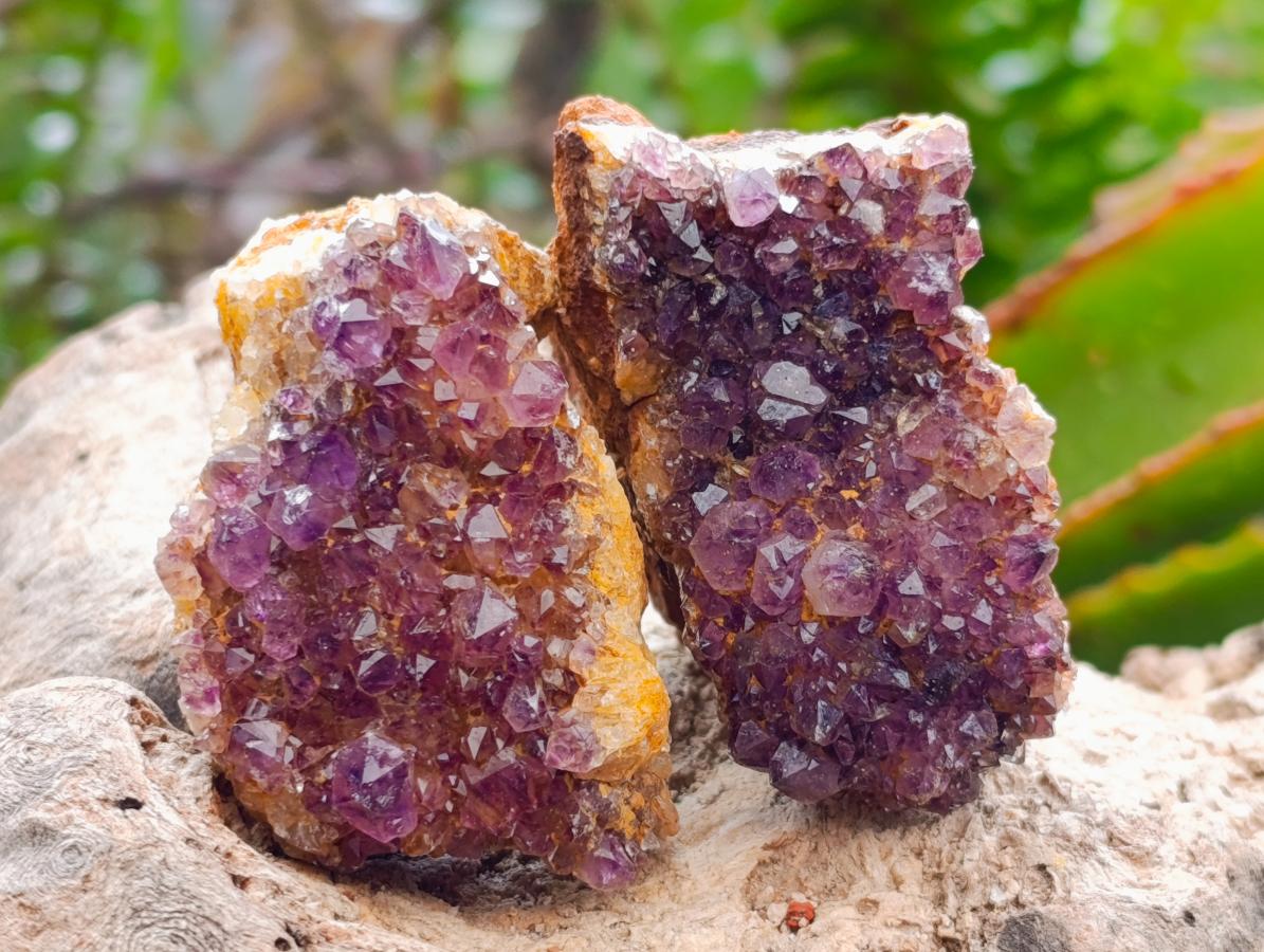 Natural Dark Purple Amethyst Quartz Crystal Plates x 35 From Boekenhouthoek, South Africa