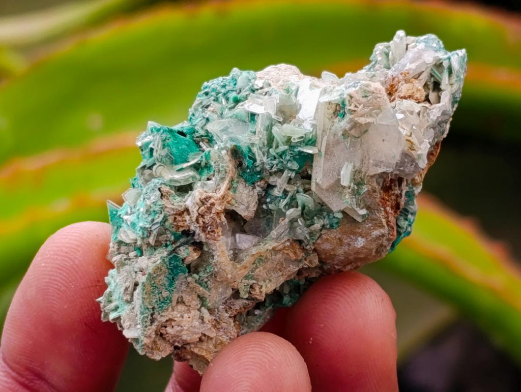 Natural Rare Bladed Barite and Malachite Specimens x 12 From Congo