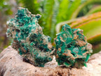 Natural Rare Bladed Barite and Malachite Specimens x 12 From Congo