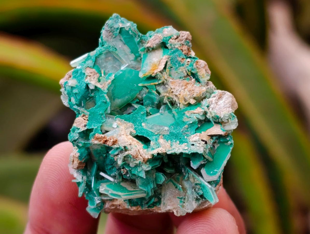 Natural Rare Bladed Barite and Malachite Specimens x 12 From Congo