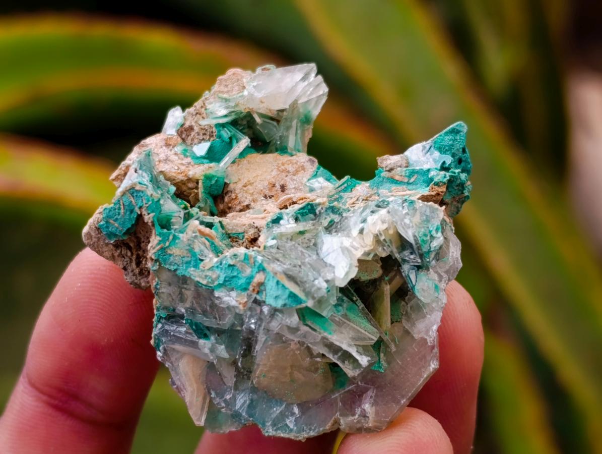 Natural Rare Bladed Barite and Malachite Specimens x 12 From Congo