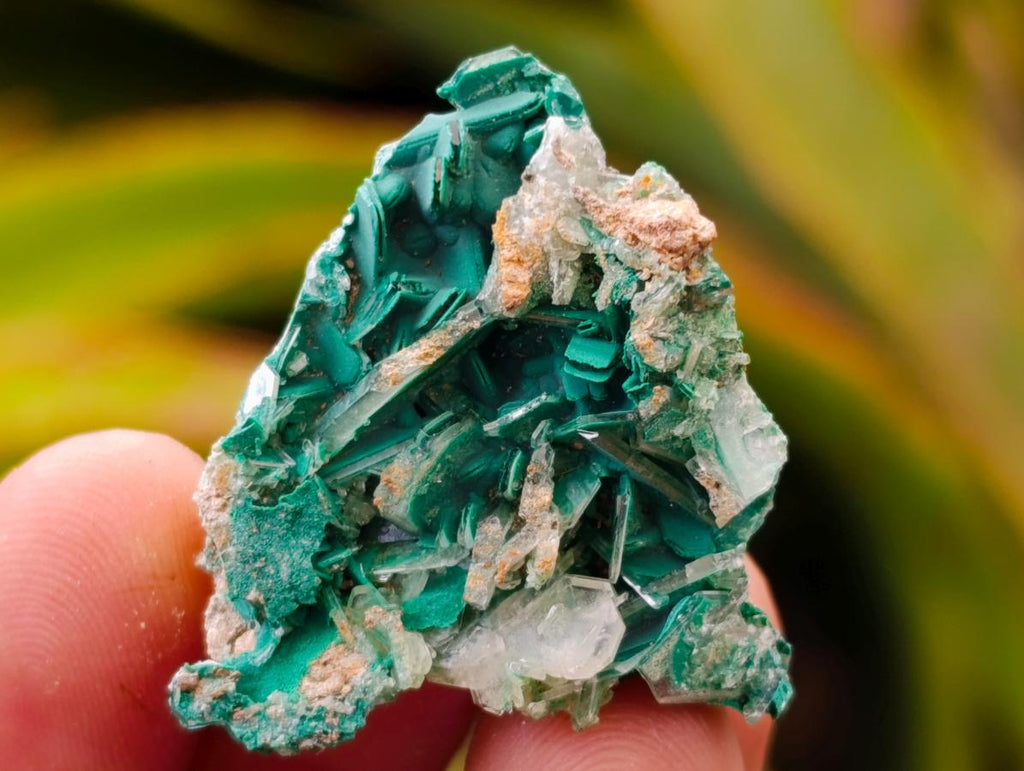 Natural Rare Bladed Barite and Malachite Specimens x 12 From Congo