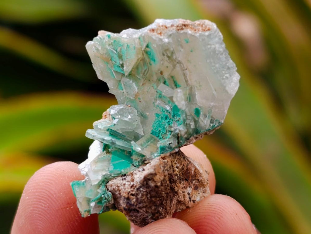 Natural Rare Bladed Barite and Malachite Specimens x 12 From Congo