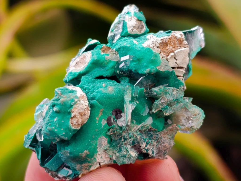 Natural Rare Bladed Barite and Malachite Specimens x 12 From Congo