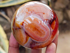 Polished Carnelian Agate Gemstone Spheres x 3 From Madagascar