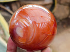 Polished Carnelian Agate Gemstone Spheres x 3 From Madagascar