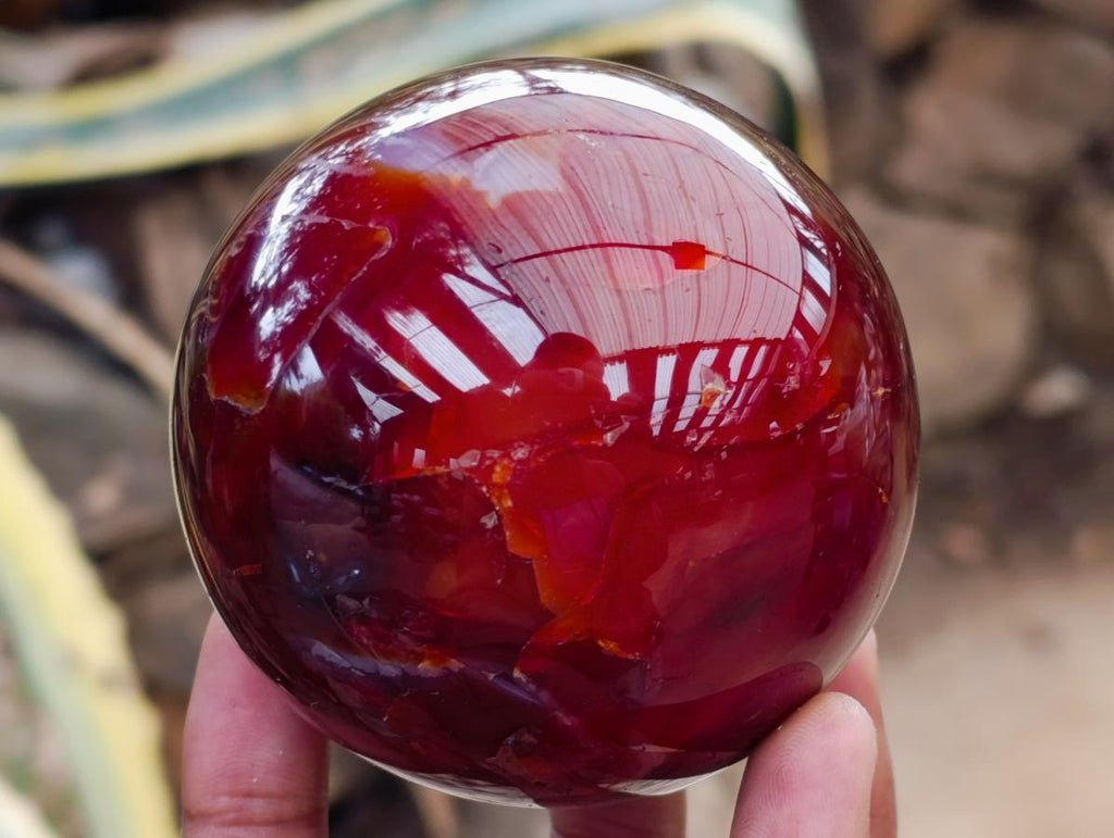 Polished Carnelian Agate Gemstone Spheres x 3 From Madagascar