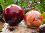 Polished Carnelian Agate Gemstone Spheres x 3 From Madagascar