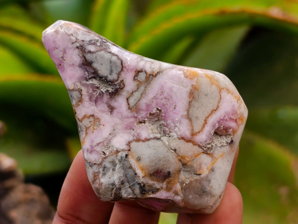 Polished Cobaltion Calcite in Dolomite Free Forms x 6 From Kakanda, Congo