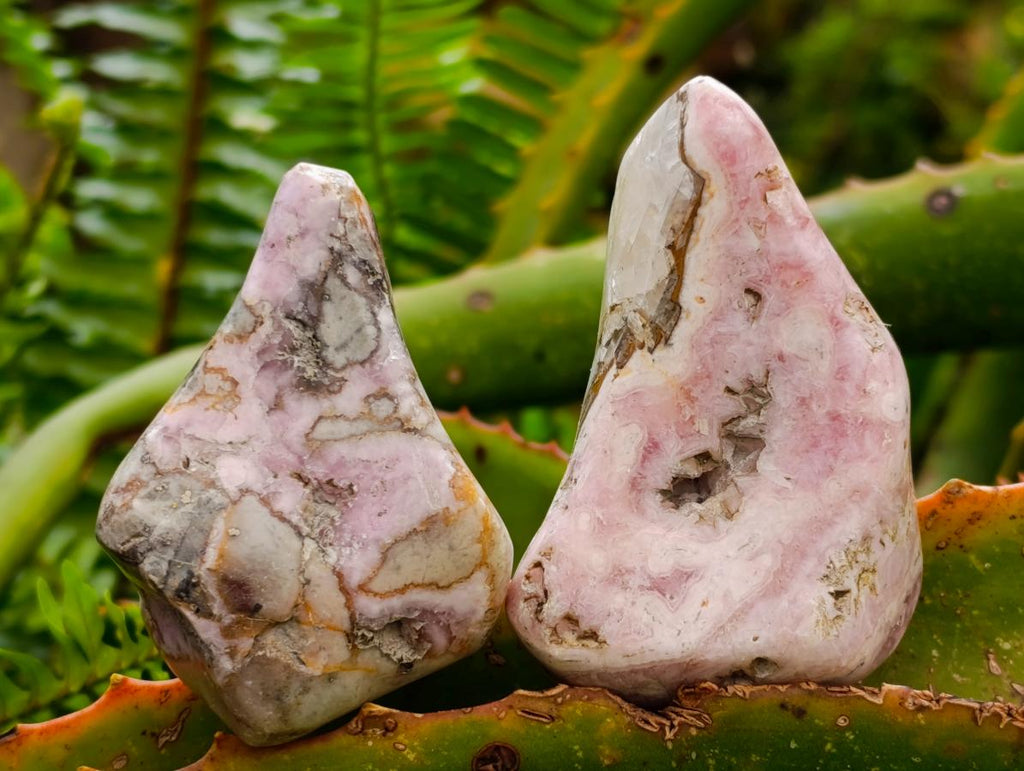 Polished Cobaltion Calcite in Dolomite Free Forms x 6 From Kakanda, Congo