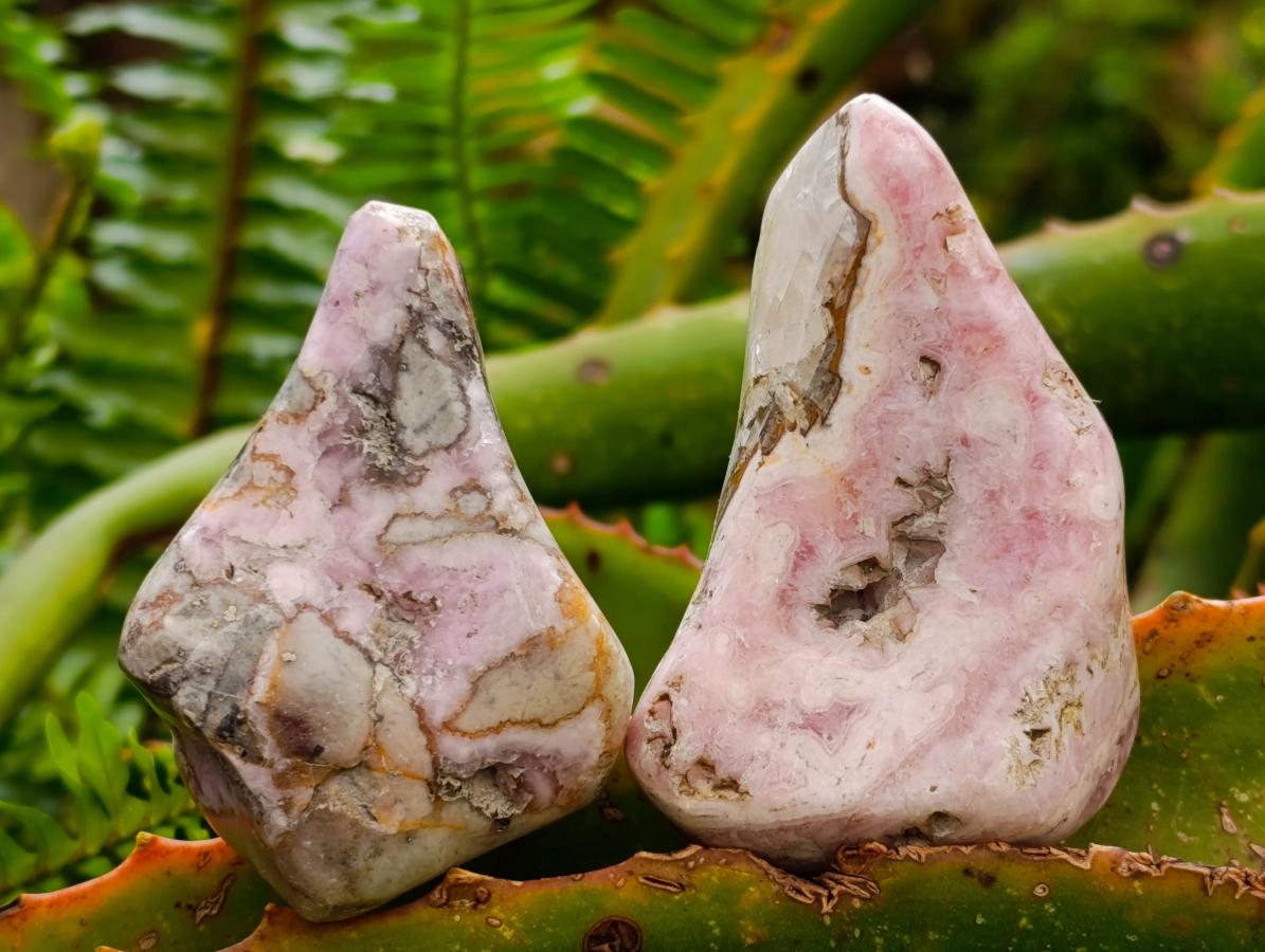 Polished Cobaltion Calcite in Dolomite Free Forms x 6 From Kakanda, Congo