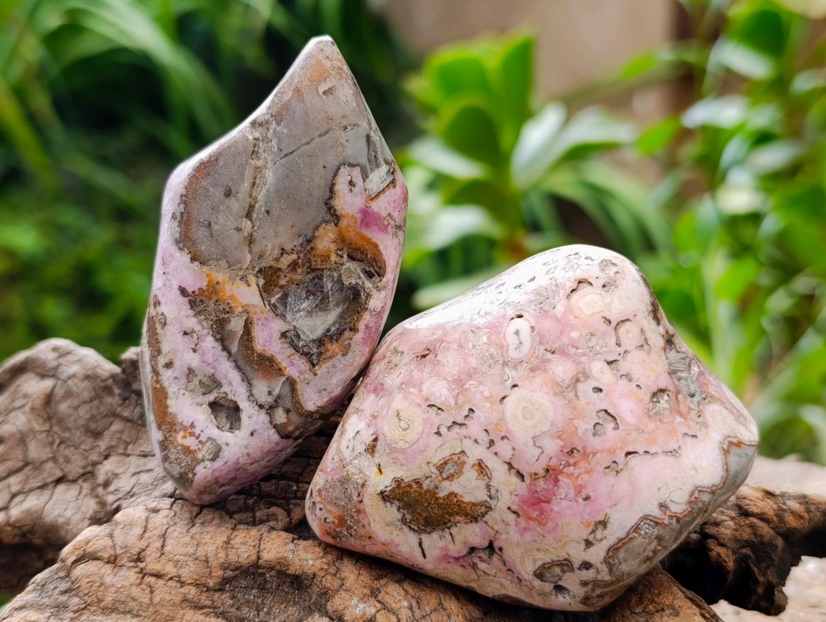 Polished Cobaltion Calcite in Dolomite Free Forms x 6 From Kakanda, Congo