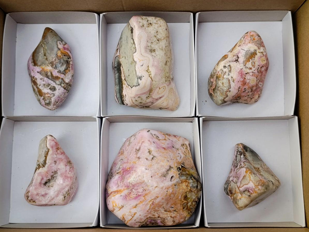 Polished Cobaltion Calcite in Dolomite Free Forms x 6 From Kakanda, Congo