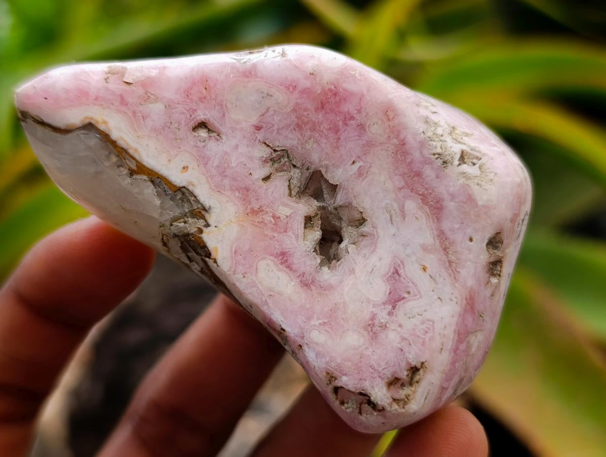Polished Cobaltion Calcite in Dolomite Free Forms x 6 From Kakanda, Congo