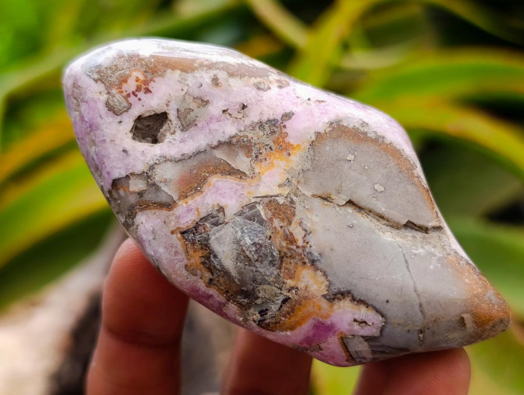 Polished Cobaltion Calcite in Dolomite Free Forms x 6 From Kakanda, Congo