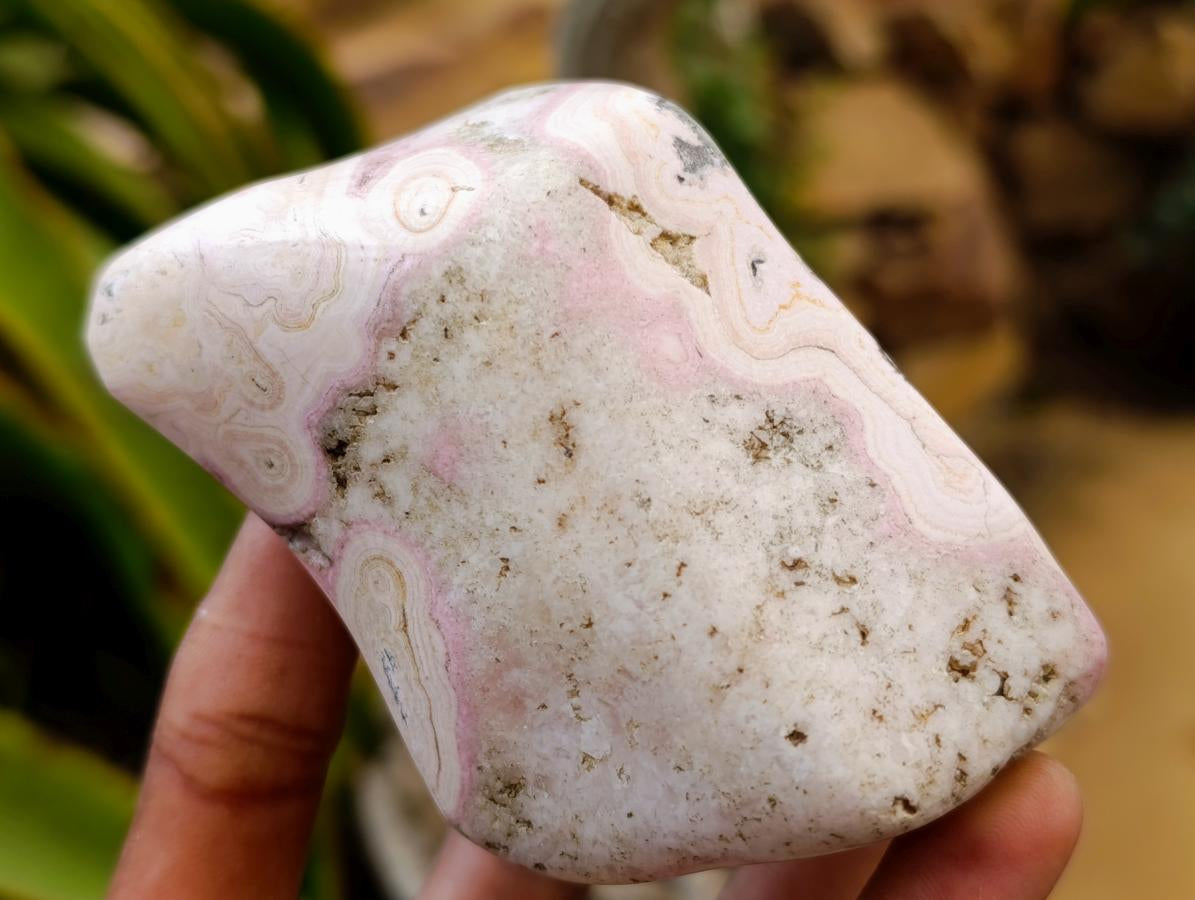 Polished Cobaltion Calcite in Dolomite Free Forms x 6 From Kakanda, Congo