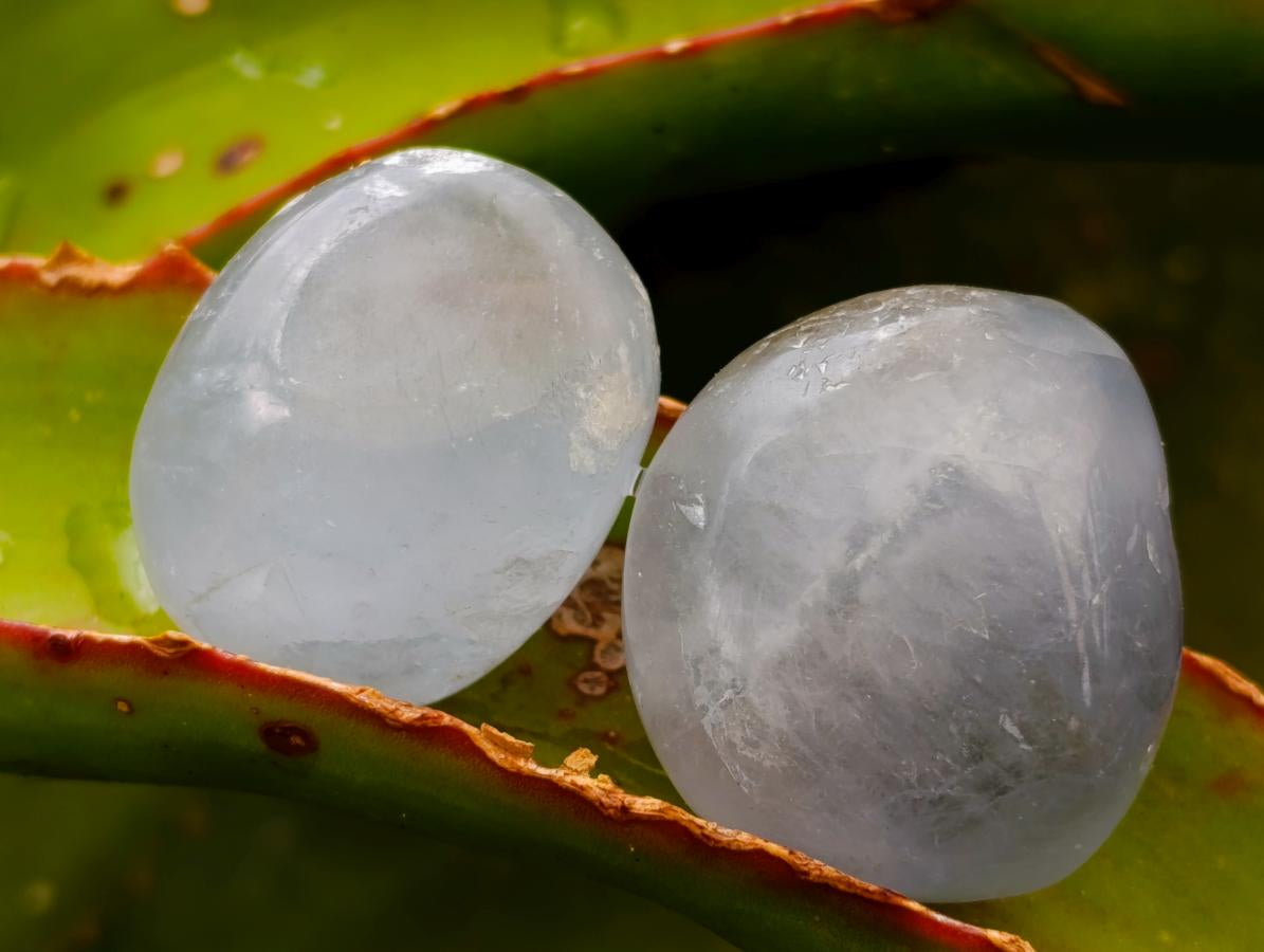 Polished Blue Celestite Galets x 35 From Sakoany, Madagascar