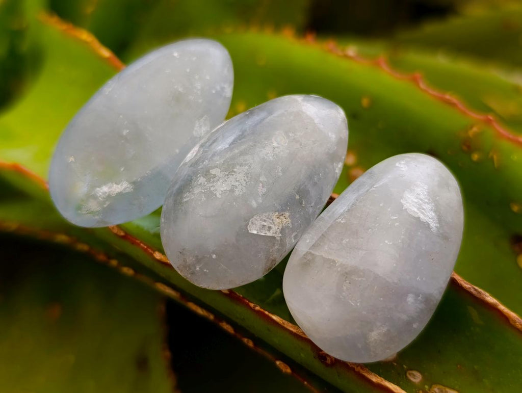 Polished Blue Celestite Galets x 35 From Sakoany, Madagascar