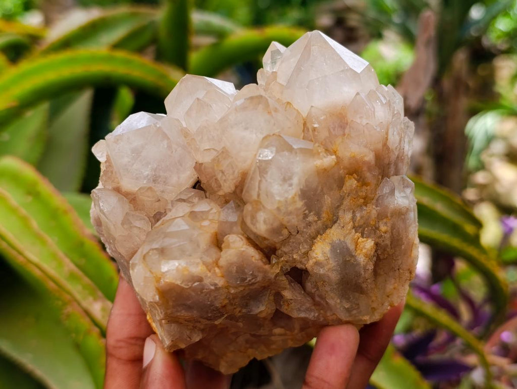 Natural White Phantom Cascading Smokey Luena Quartz Clusters x 2 From Luena, Congo