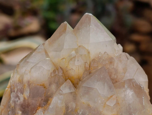 Natural White Phantom Cascading Smokey Luena Quartz Clusters x 2 From Luena, Congo