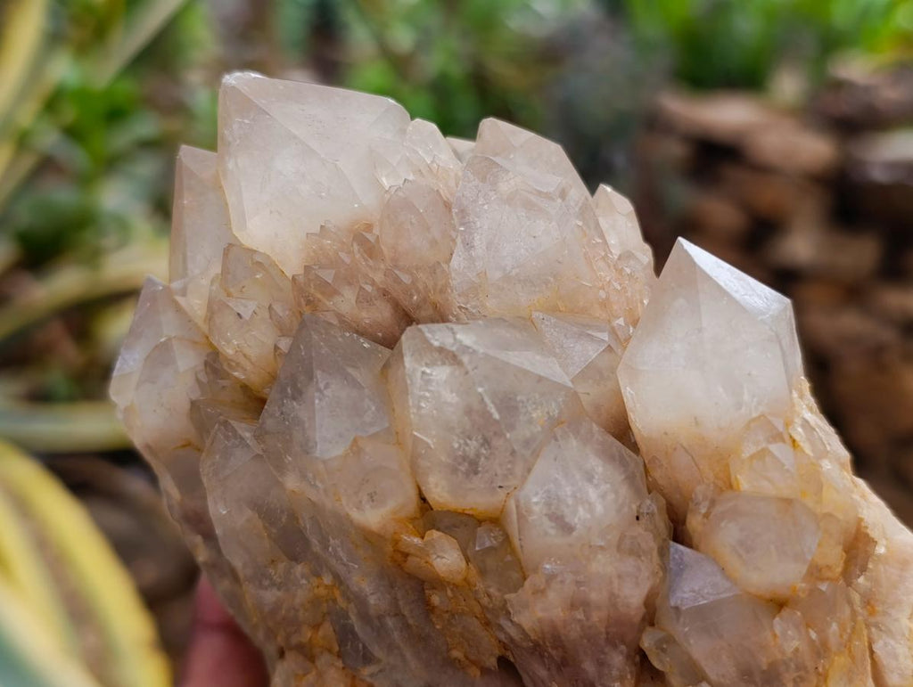 Natural White Phantom Cascading Smokey Luena Quartz Clusters x 2 From Luena, Congo