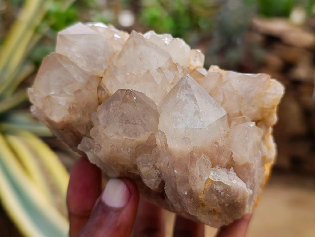 Natural White Phantom Cascading Smokey Luena Quartz Clusters x 2 From Luena, Congo
