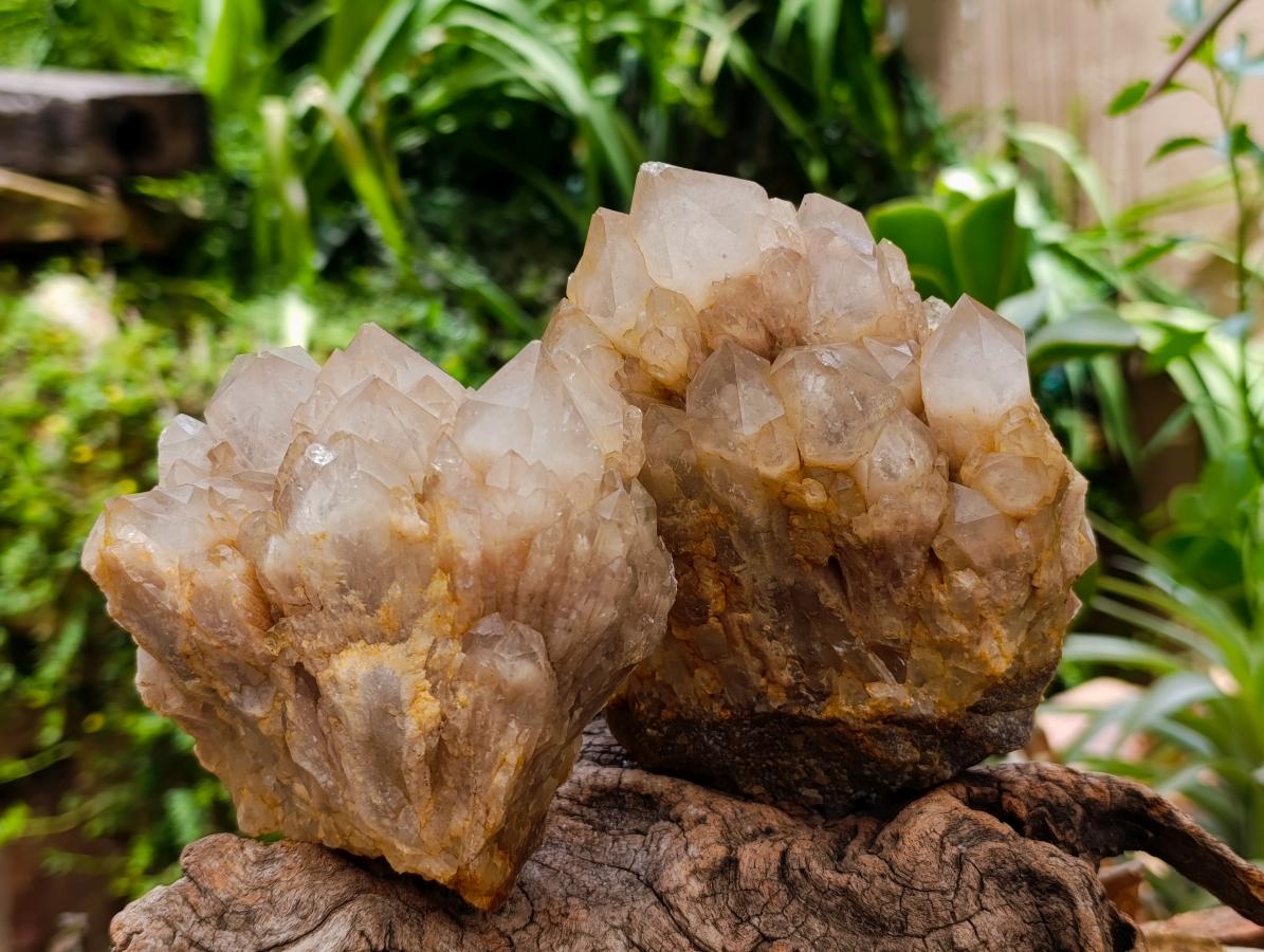 Natural White Phantom Cascading Smokey Luena Quartz Clusters x 2 From Luena, Congo