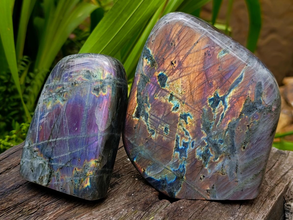 Polished Rare Purple Sunset Flash Labradorite Standing Free Forms x 2 From Madagascar