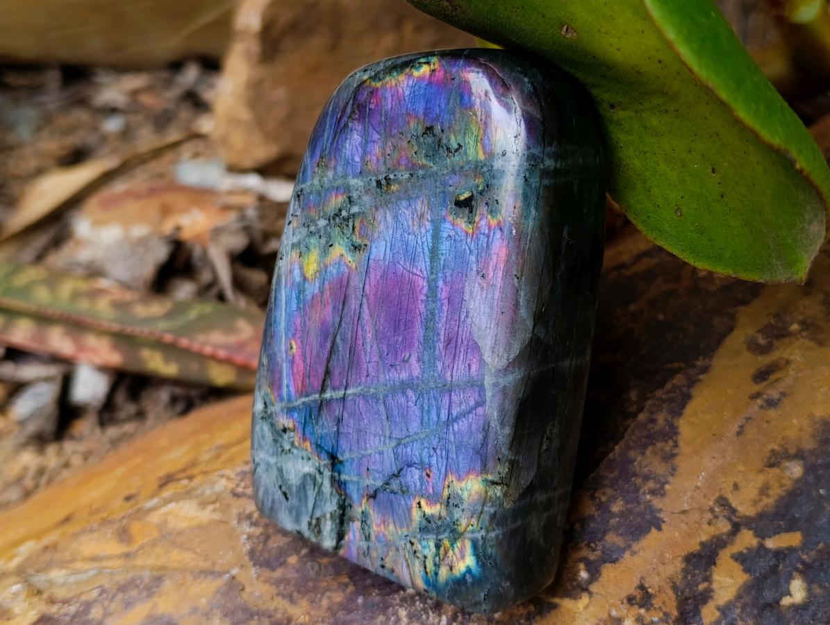 Polished Rare Purple Sunset Flash Labradorite Standing Free Forms x 2 From Madagascar