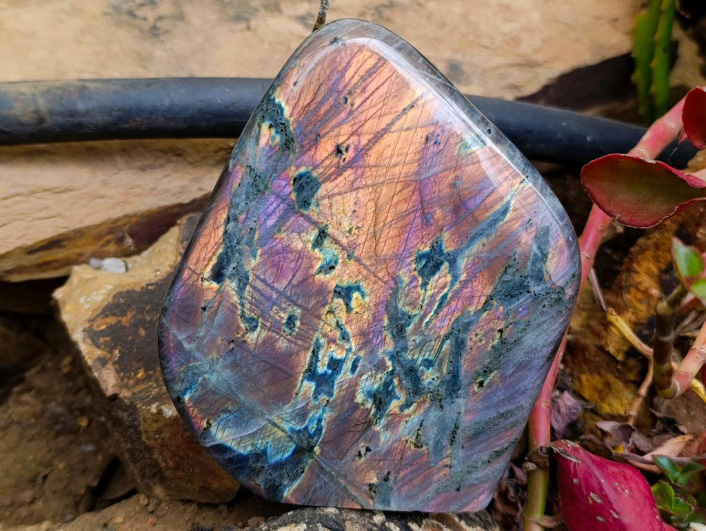Polished Rare Purple Sunset Flash Labradorite Standing Free Forms x 2 From Madagascar