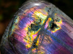 Polished Rare Purple Sunset Flash Labradorite Standing Free Forms x 2 From Madagascar