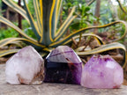 Polished Window Amethyst Crystals x 6 From Akansobe, Madagascar