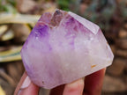Polished Window Amethyst Crystals x 6 From Akansobe, Madagascar