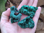 Natural Small Silky Malachite Specimens x 35 From Kasompe, Congo