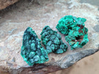 Natural Small Silky Malachite Specimens x 35 From Kasompe, Congo