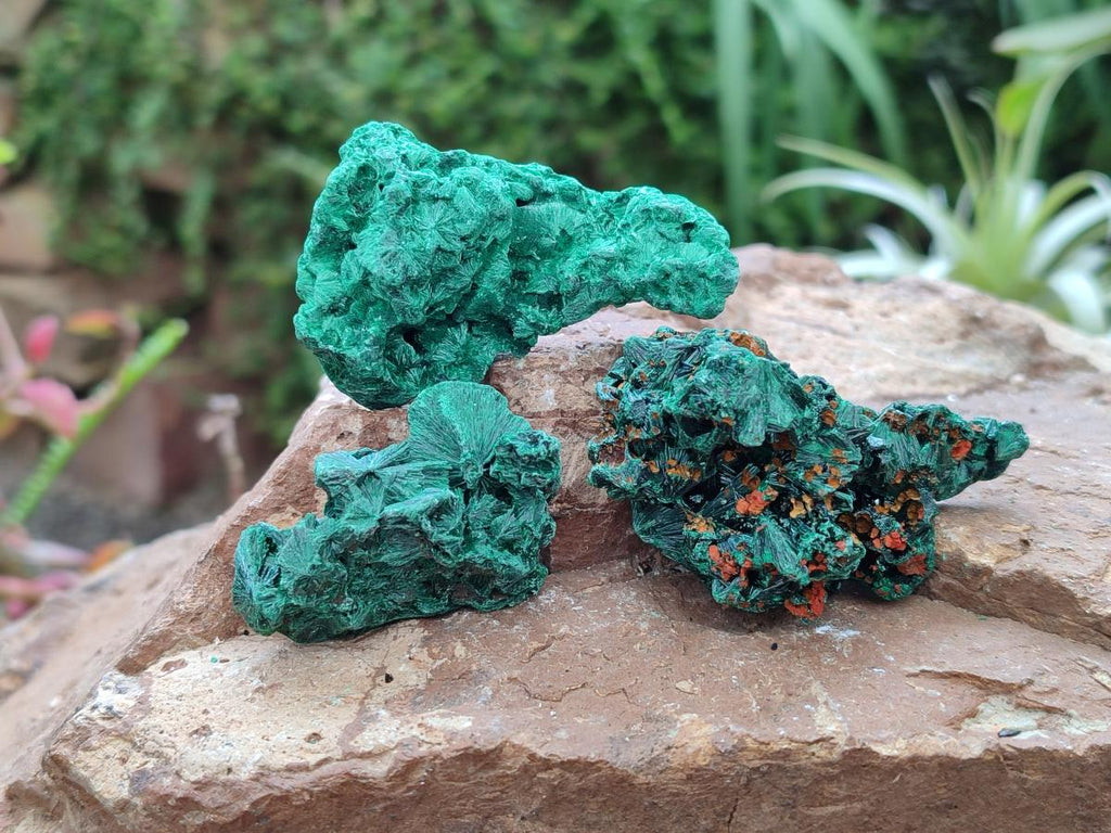 Natural Small Silky Malachite Specimens x 35 From Kasompe, Congo