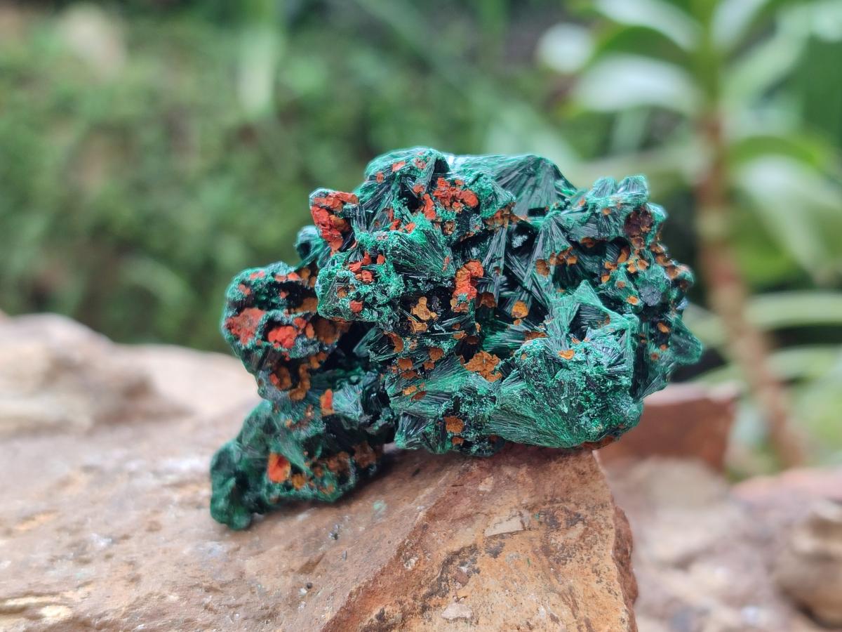 Natural Small Silky Malachite Specimens x 35 From Kasompe, Congo