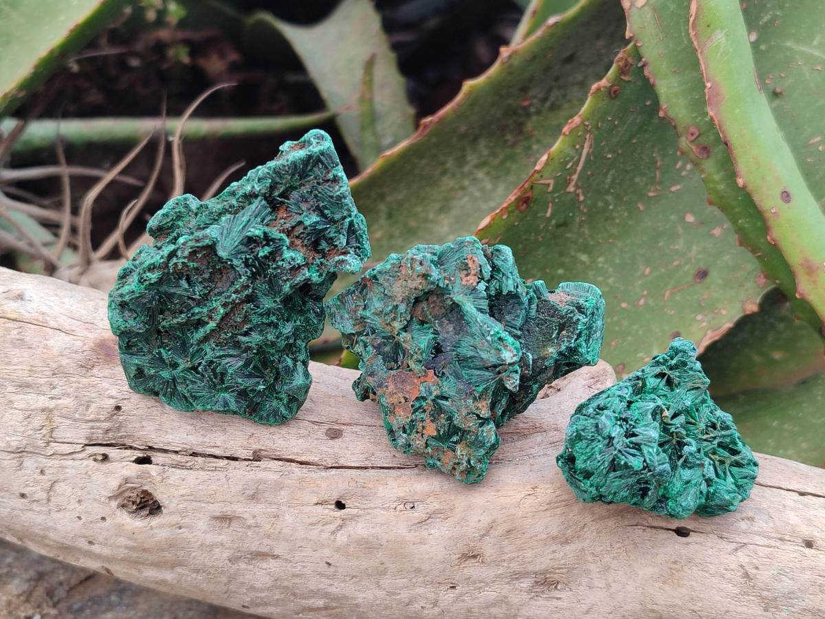 Natural Small Silky Malachite Specimens x 35 From Kasompe, Congo