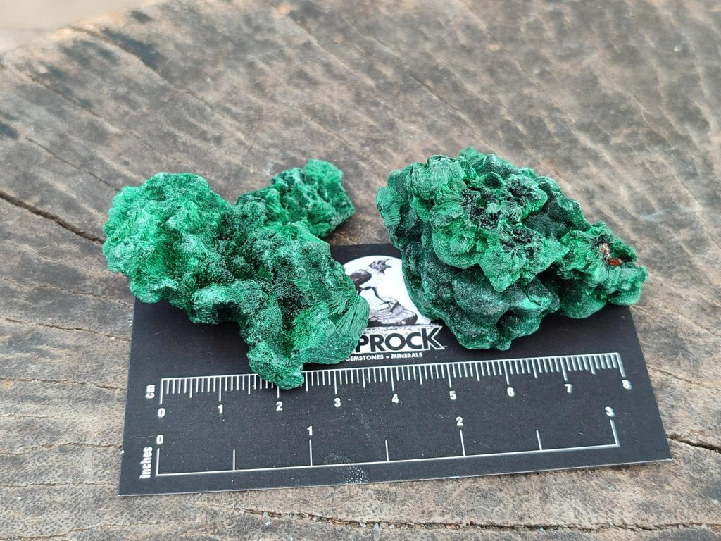 Natural Small Silky Malachite Specimens x 35 From Kasompe, Congo