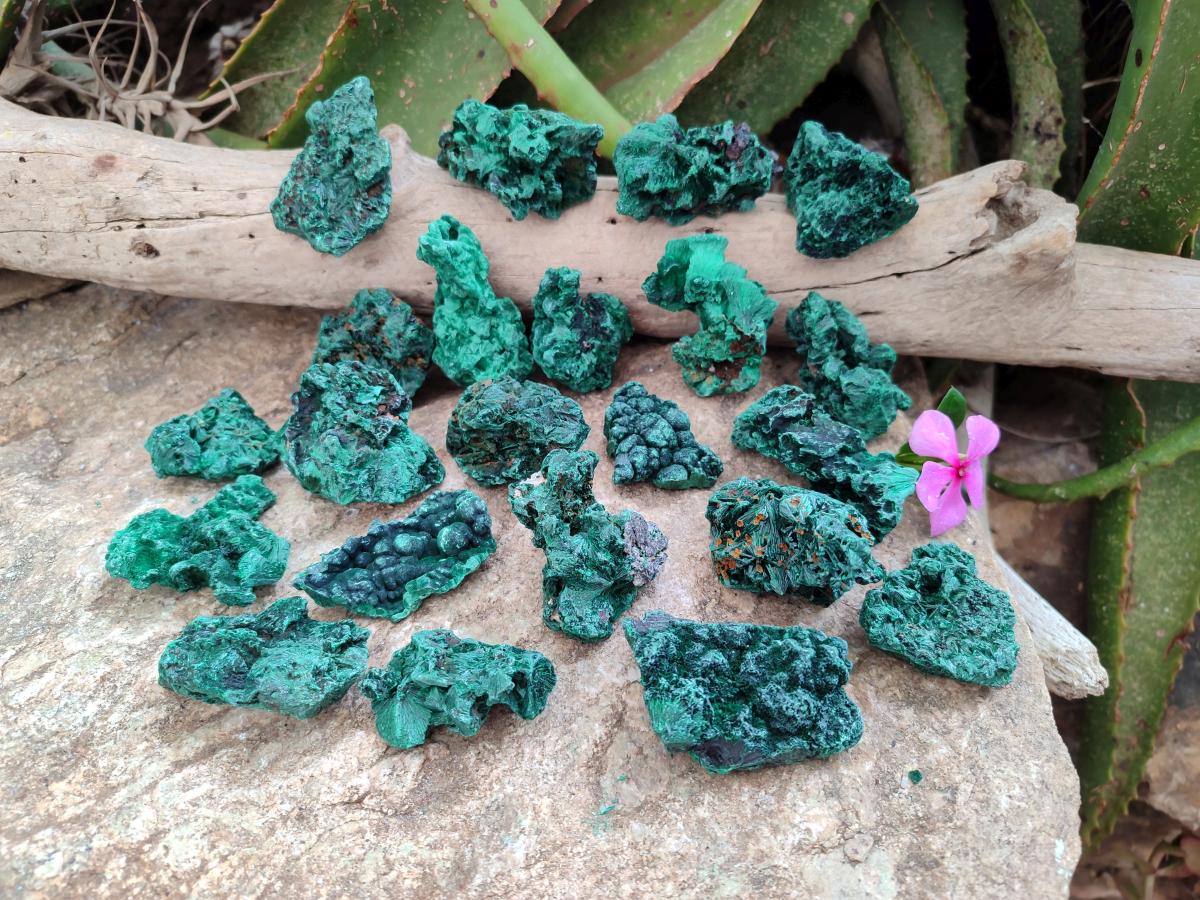 Natural Small Silky Malachite Specimens x 35 From Kasompe, Congo