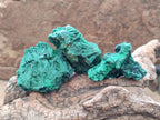 Natural Small Silky Malachite Specimens x 35 From Kasompe, Congo