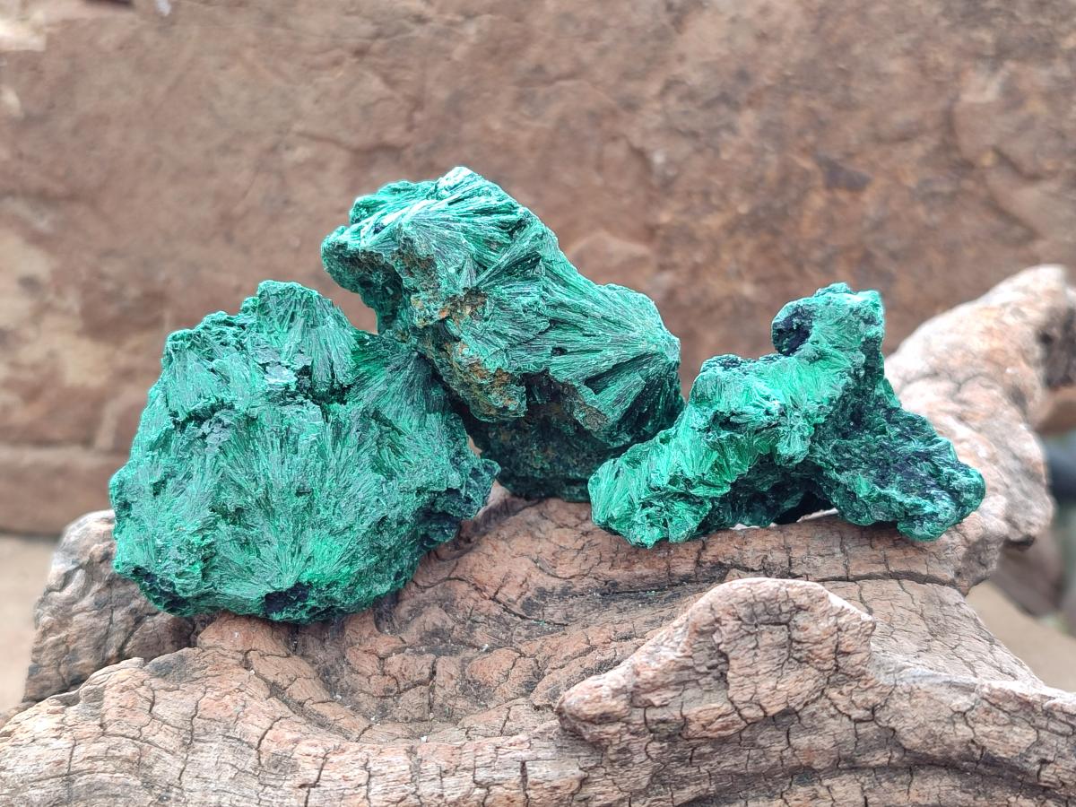 Natural Small Silky Malachite Specimens x 35 From Kasompe, Congo