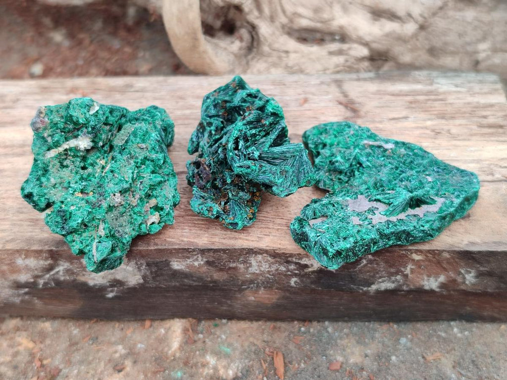 Natural Small Silky Malachite Specimens x 35 From Kasompe, Congo
